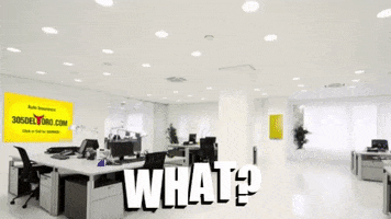 Del Toro Insurance GIF