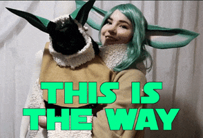 This Is The Way Cat GIF