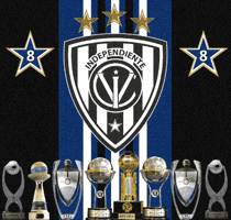 Liga Pro Independiente Del Valle GIF