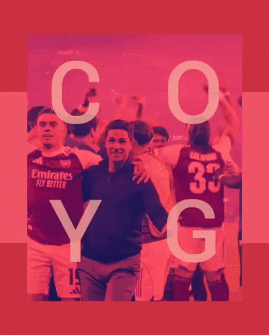 Arsenal Arteta GIF