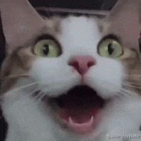 200.gif
