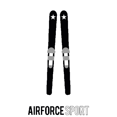 Airforce Sticker