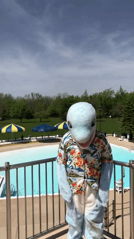 Dundee_Township_Park_District splash dolphin dtpd dolphincove GIF