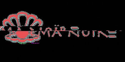 poemanoire GIF