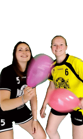 HV Geel-Zwart Sticker