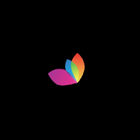iskarpin Ayakkabi GIF