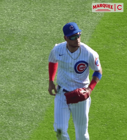 Albert Almora Jr Cubs GIF by Marquee Sports Network