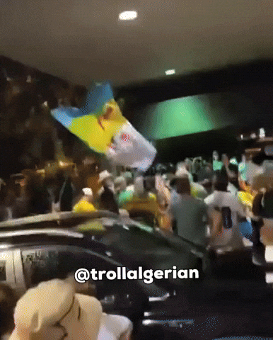 Algeria Dz GIF