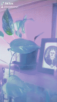 Circle GIF