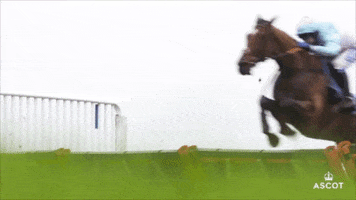 Horse Racing Fly GIF by Ascot Racecourse