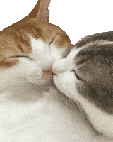200.gif?cid=f0bdee70o8b6xhxaba2kw1lbsskklsxg94hykvuk2vcc24ub&rid=200.gif&ct=g