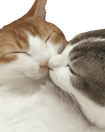 Kisses Love GIF by Alissandra