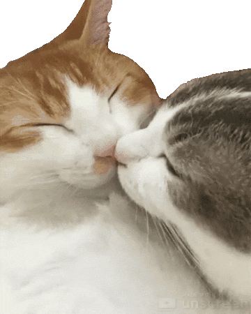 Giphy - Kisses Love GIF by Alissandra