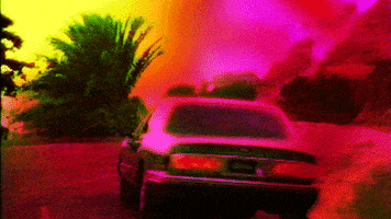 car sunset GIF by The NGB