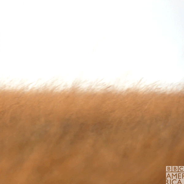 planet earth jump GIF by BBC America