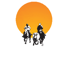 Parque maria da luz Sticker
