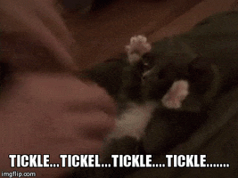 tickle reacts GIF