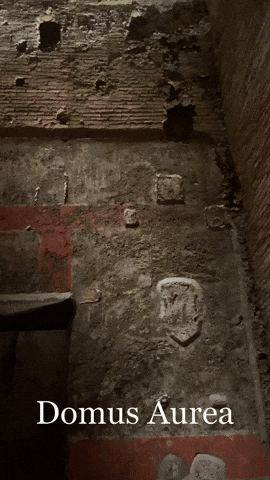 Roma Rome GIF by Colosseum