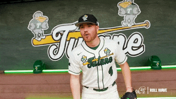 College Baseball Lambert GIF by GreenWave