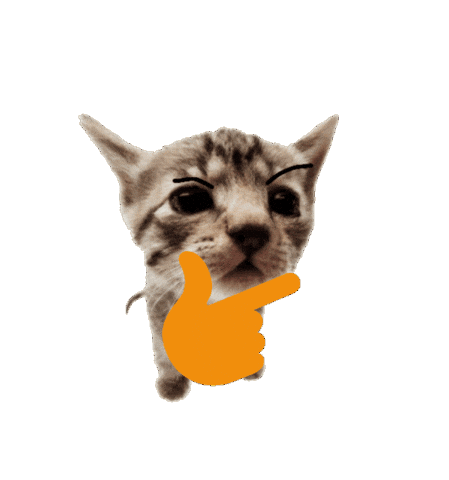 Cat Idk Sticker