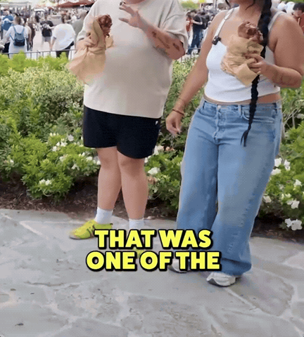 Theme Park Disney GIF