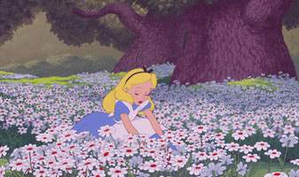 Alice In Wonderland Disney GIF