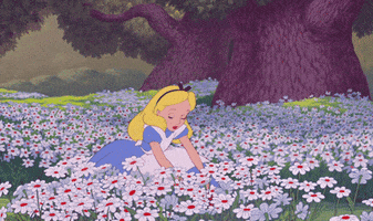 alice in wonderland spring GIF