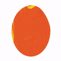 Orange Guppy GIF
