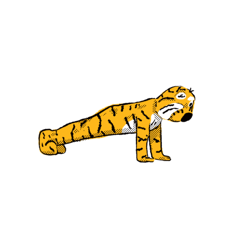 Push Up Go Tigers Sticker by University of Missouri