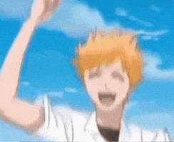 Bleach GIF