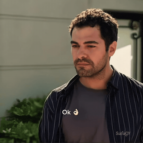 Tamam Ok GIF