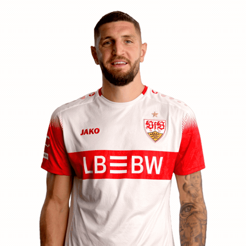 Happy Cheering GIF by VfB Stuttgart 1893
