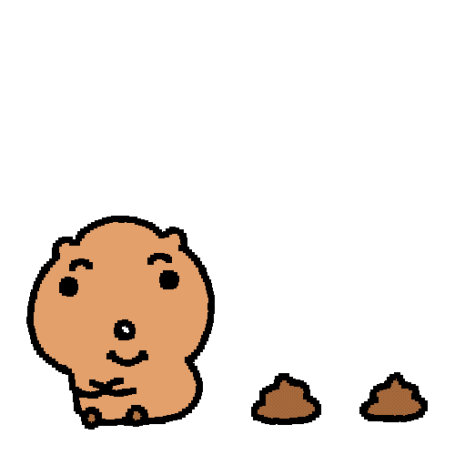 Quokka Sticker