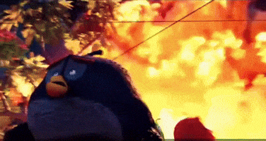 Angry Birds School GIF