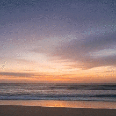 Beach Sbovia GIF by Sbovia
