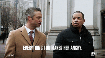 Law And Order Svu GIF by NBC
