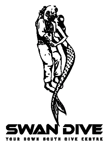 Swan Dive Dunsborough Sticker