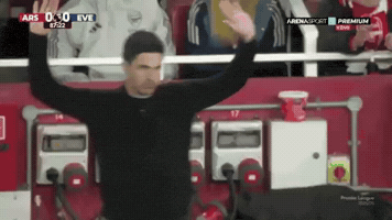 Mikel Arteta GIF by memes