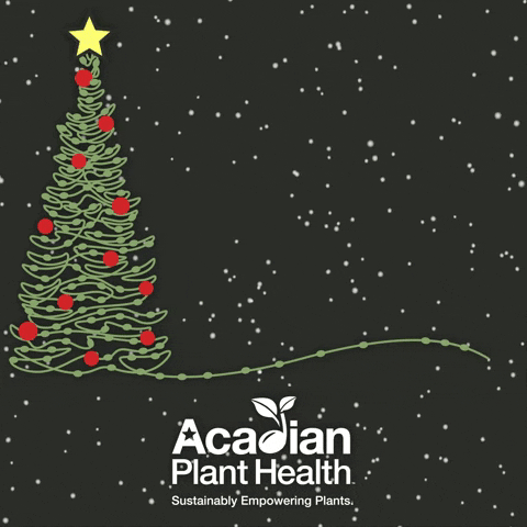 Christmas Holiday GIF by Acadian Plant Health