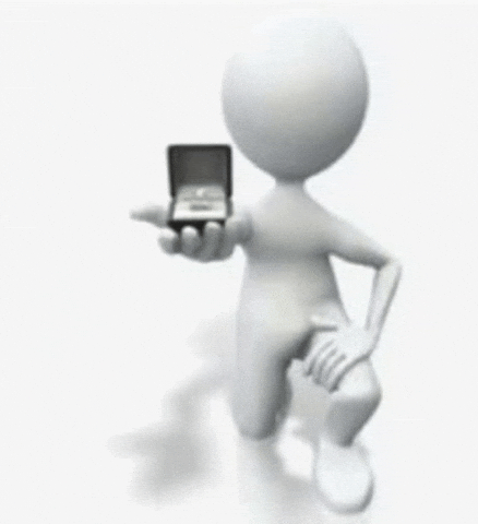 Propose Marry Me GIF