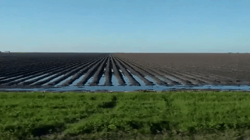 earthwatch texas citizen science farmland earthwatch GIF