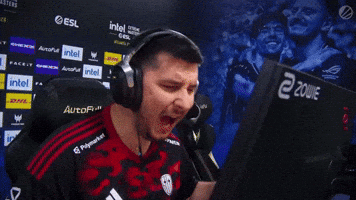 Yell Lets Go GIF by SINNERS Esports