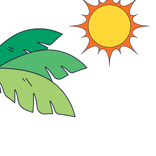 Summer Sticker