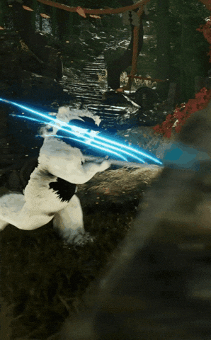 Fight Panda GIF by Endangered Labs