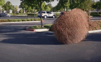 tumbleweed GIF