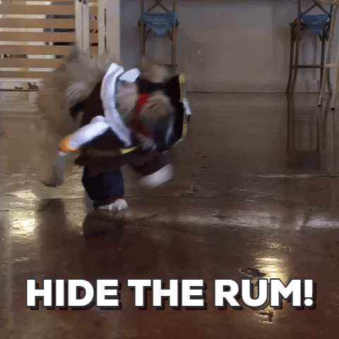 Puppy-halloween GIFs - Get the best GIF on GIPHY