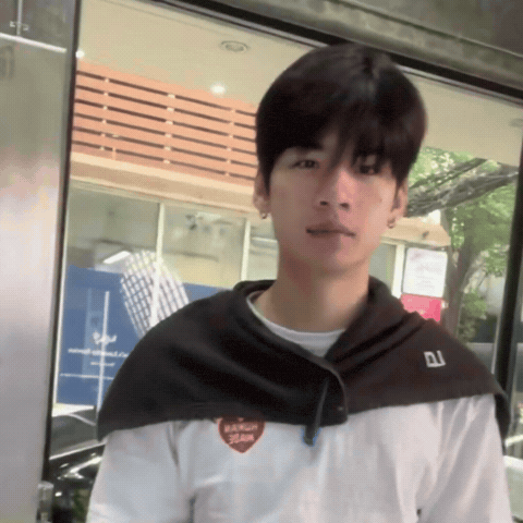 Thailand Thaibl GIF