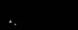 GIF by Nicnet