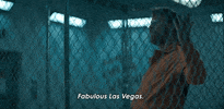 Las Vegas Jail GIF by Paramount+