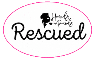 Hipster Hip Sticker by Hounds in Pounds